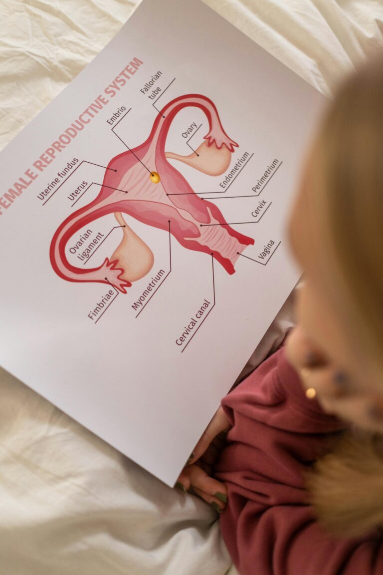 A detailed educational chart depicting the anatomy of the female reproductive system viewed from above.