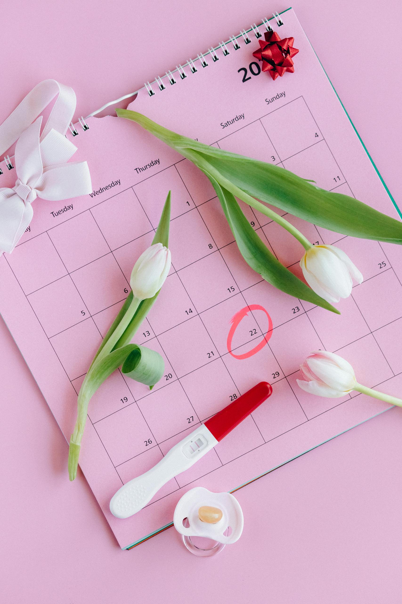 Pink calendar with pregnancy test, tulips, and pacifier symbolizing fertility planning.